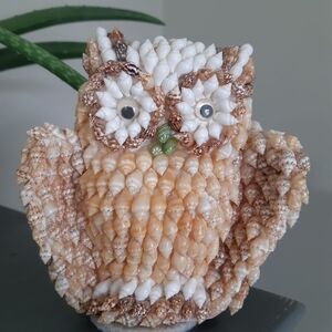Handcrafted Shell Owl Figurine in Cream and Tan - Decorative Home Accent
